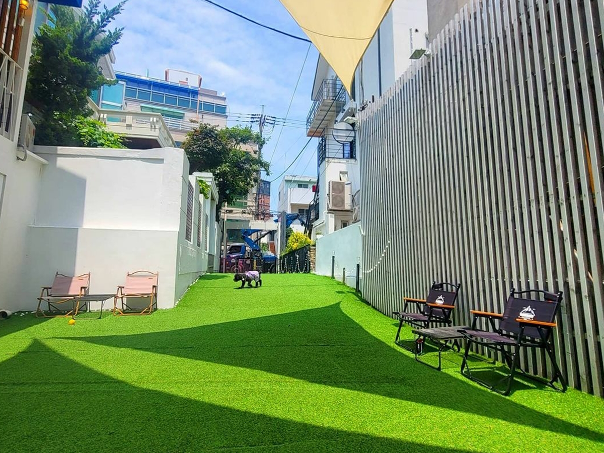 Outdoor play area for dogs at Mongmongbucks