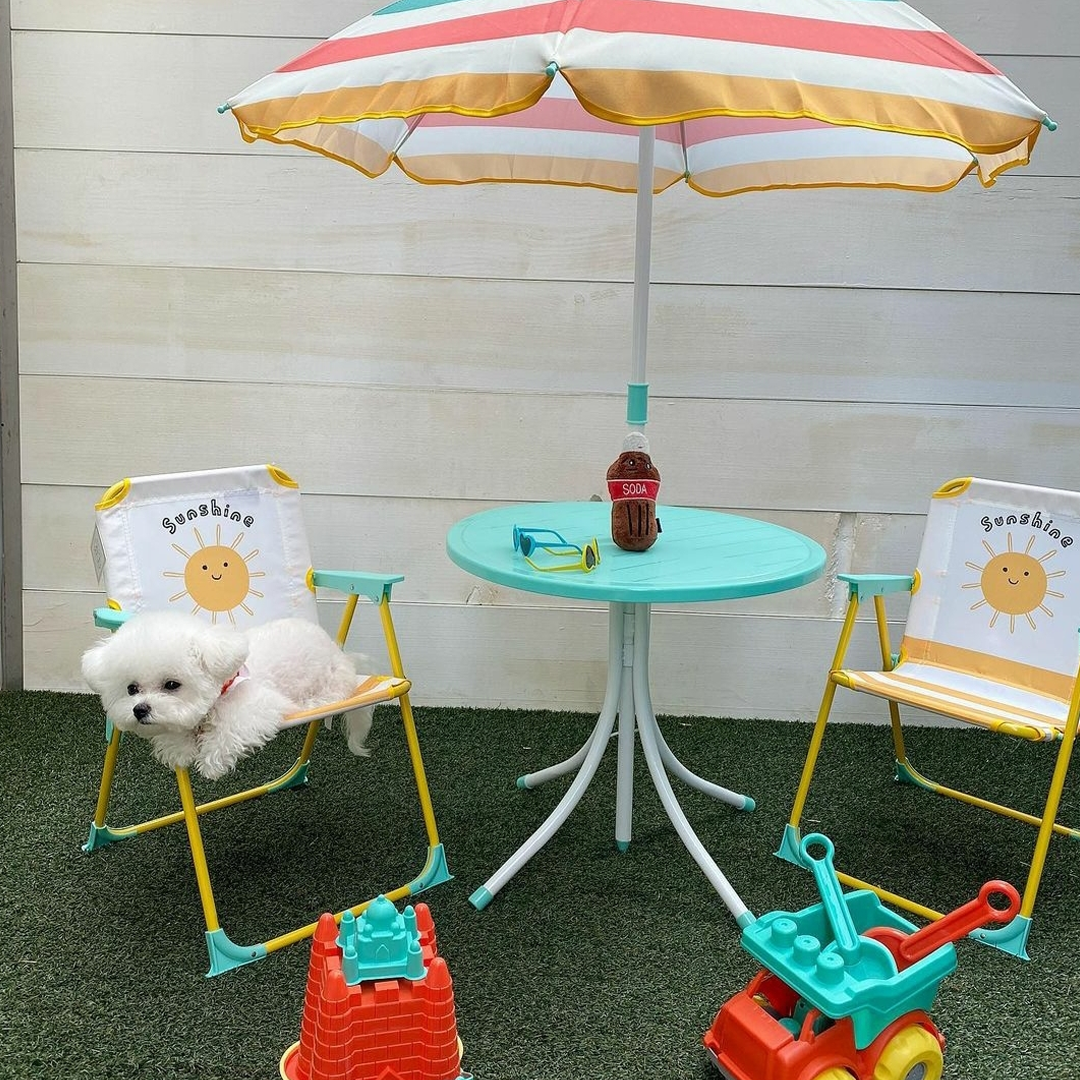 Dog in patio seating set at Cafe Bite Me in Seoul