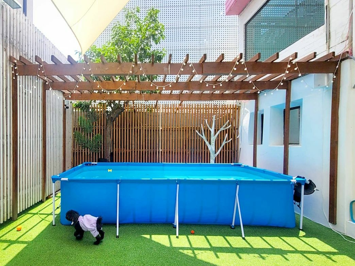 愛犬 ソウル ソウルカフェ 韓国 韓国旅行 韓国カフェ ペット ペットカフェ 愛犬カフェ ドッグカフェ 韓国情報 ペットok