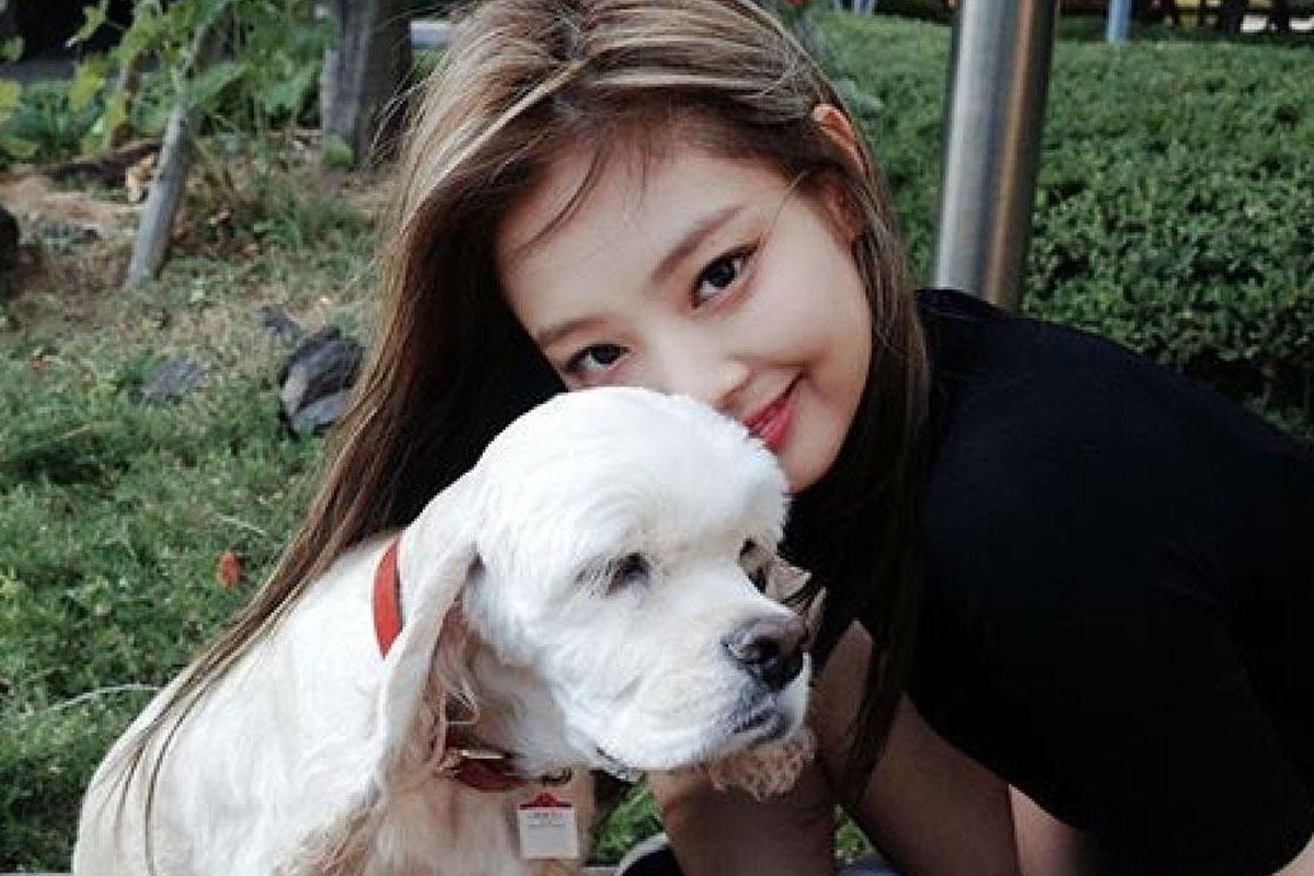 เจนนี่ BLACKPINK