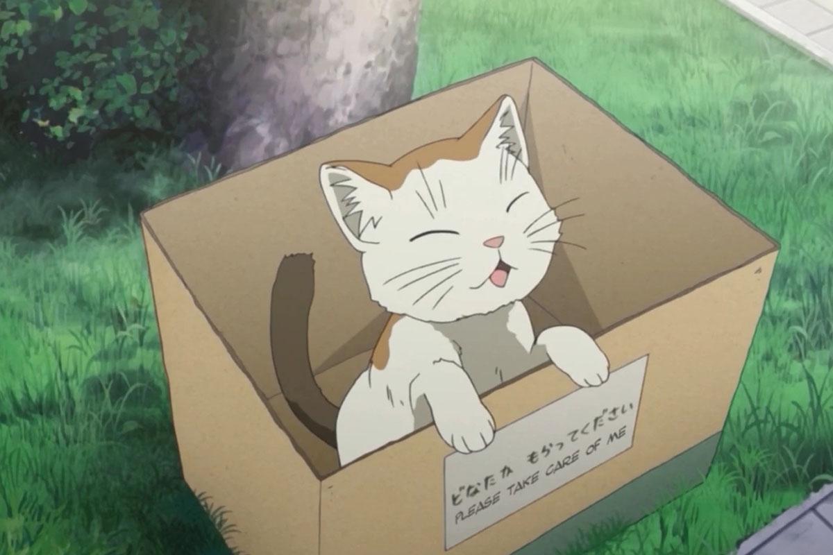 ข้อมูลเกาหลี