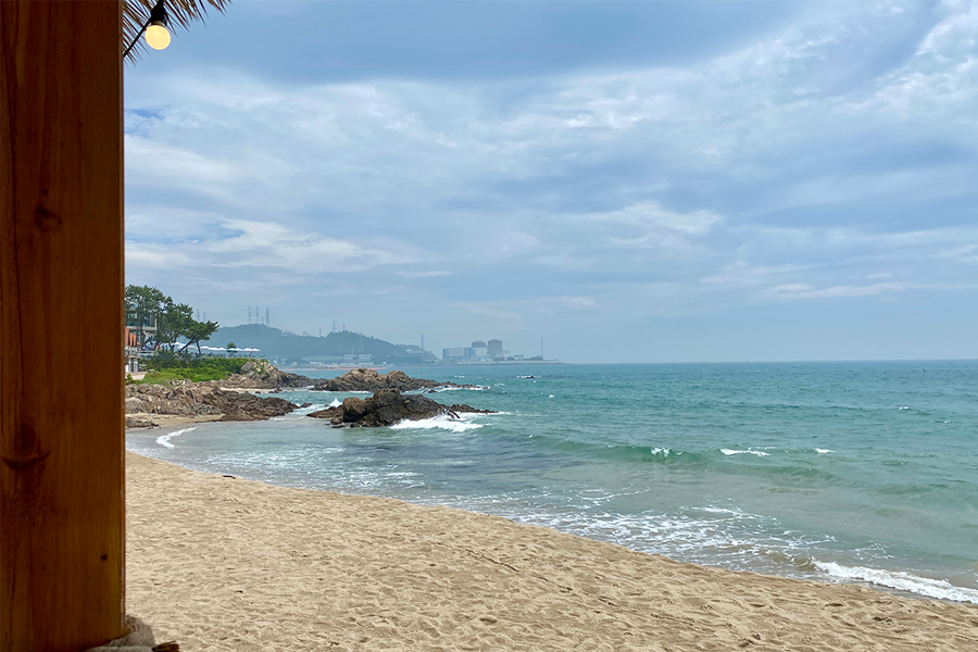 沙灘景色，展示釜山海雲臺海鮮刀削麵餐廳附近的美麗海岸。