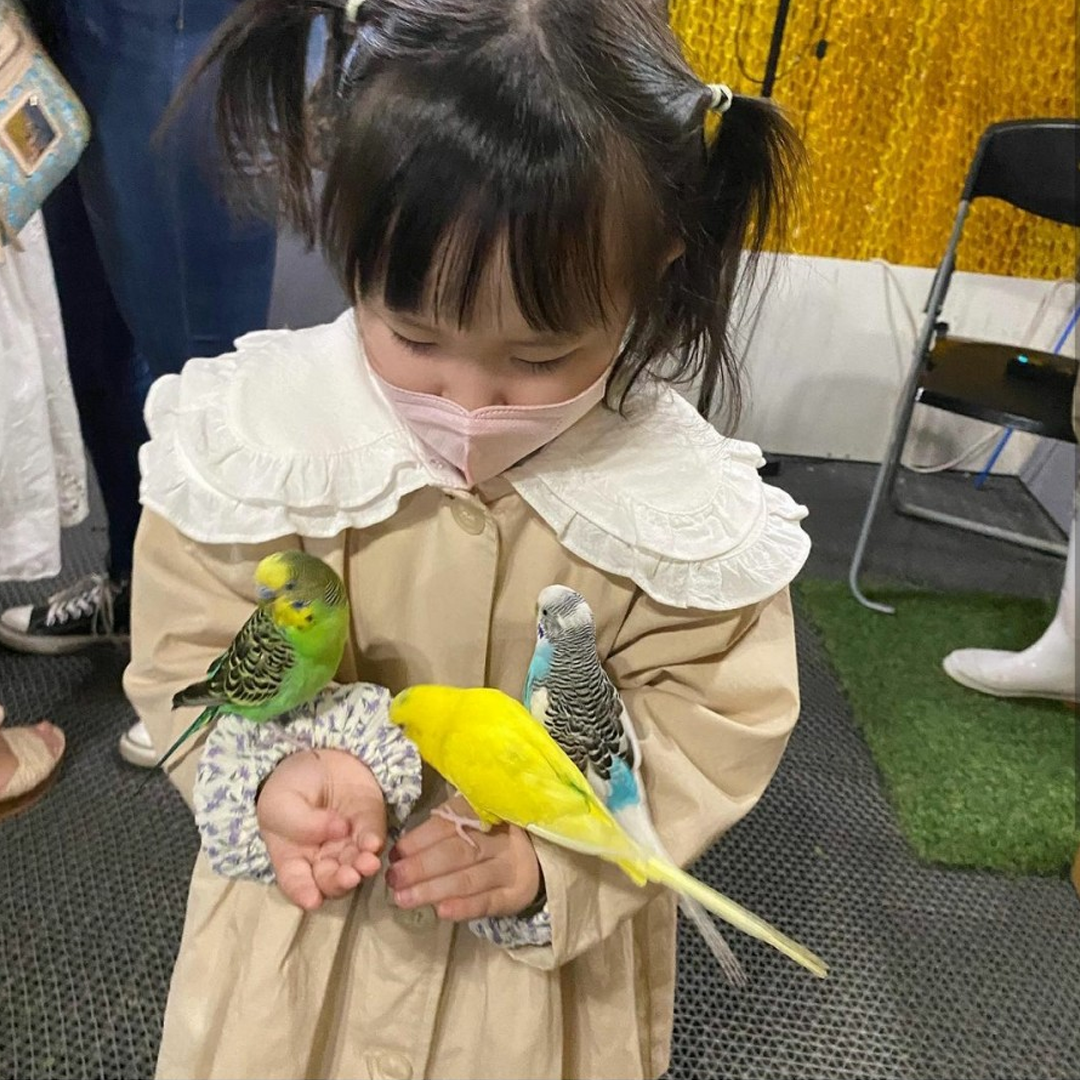 Girl with parakeets