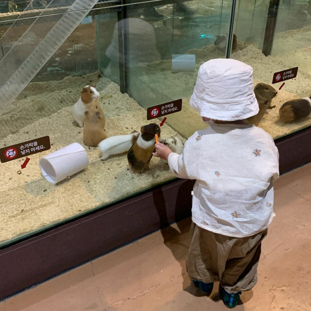 孩子在大邱水族馆喂食土拨鼠