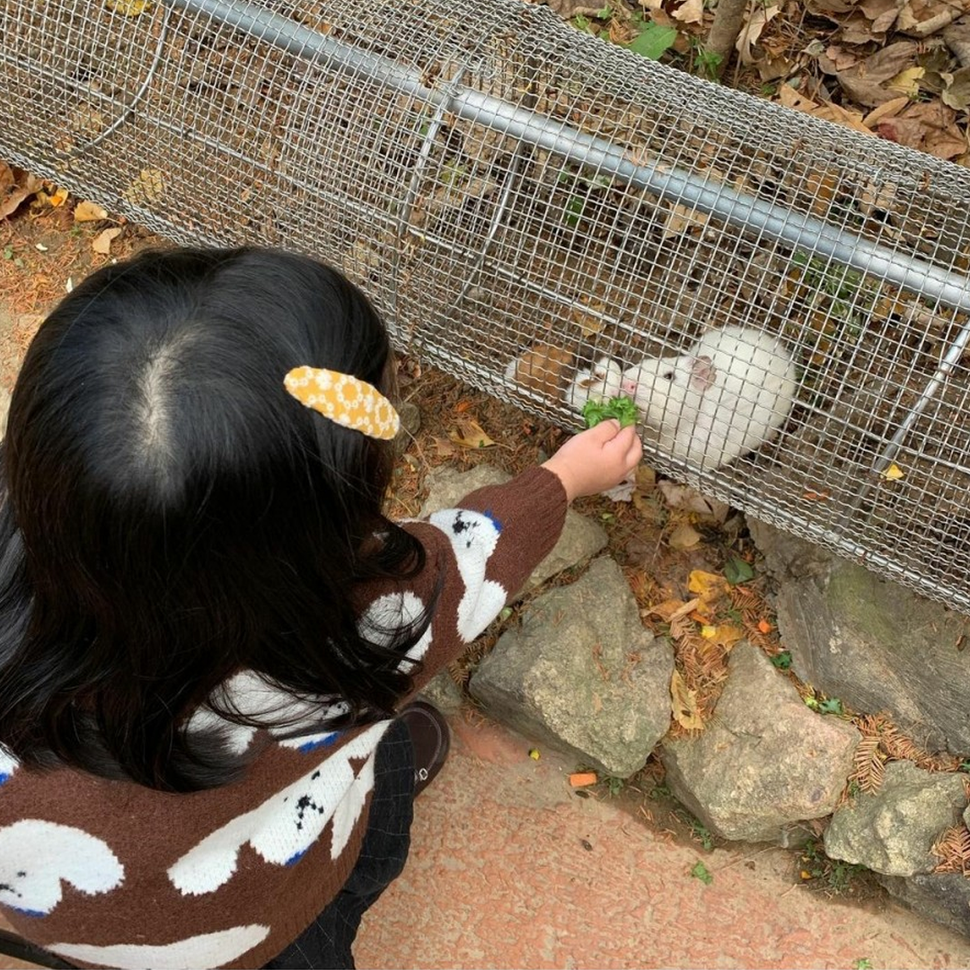 Little girl feeding a rodent