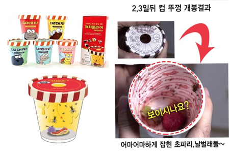 เครื่องดักแมลงวันจากเปลือกผลไม้