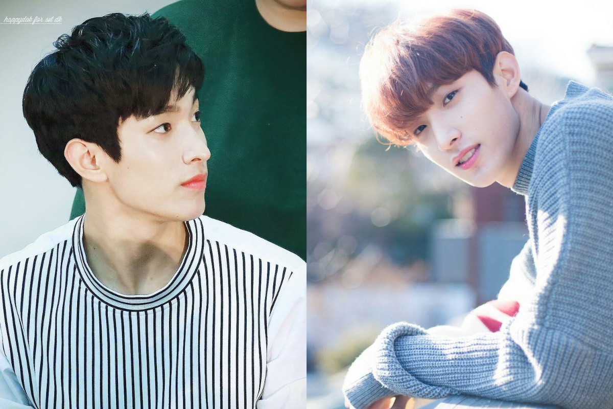 SEVENTEEN - DK - TOP 10 nam idol k-pop sở hữu sống mũi cực phẩm 