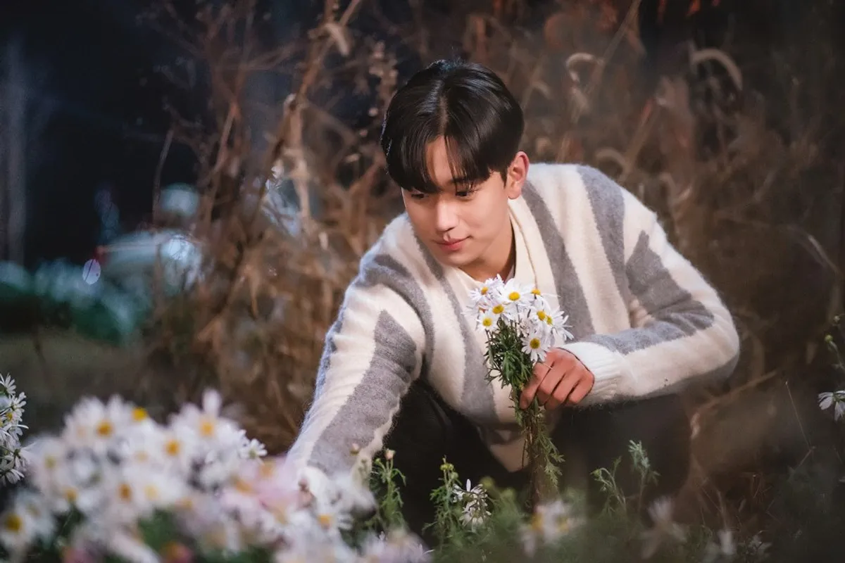 韩国 婴儿海外领养