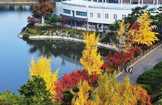2025 Best Autumn Korean University Campus Spots