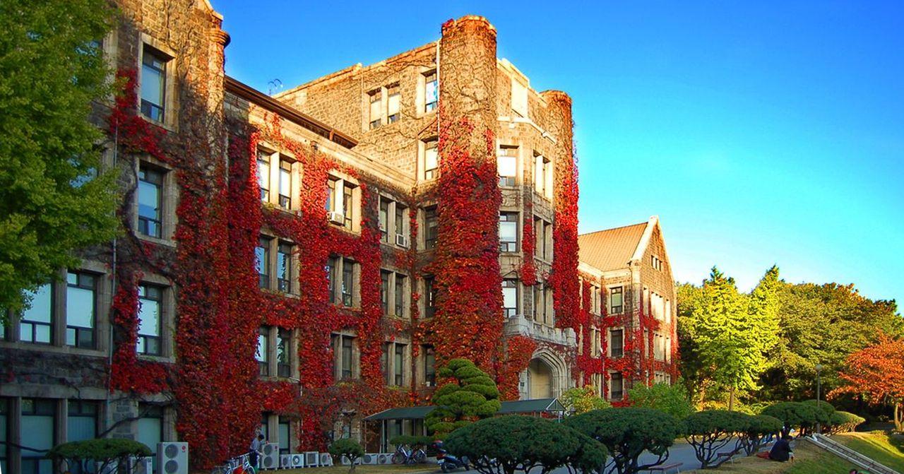 Creatrip Top 7 Autumn Korean University Campus Spots