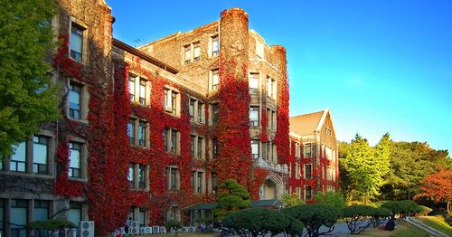 2019 Best Autumn Korean University Campus Spots