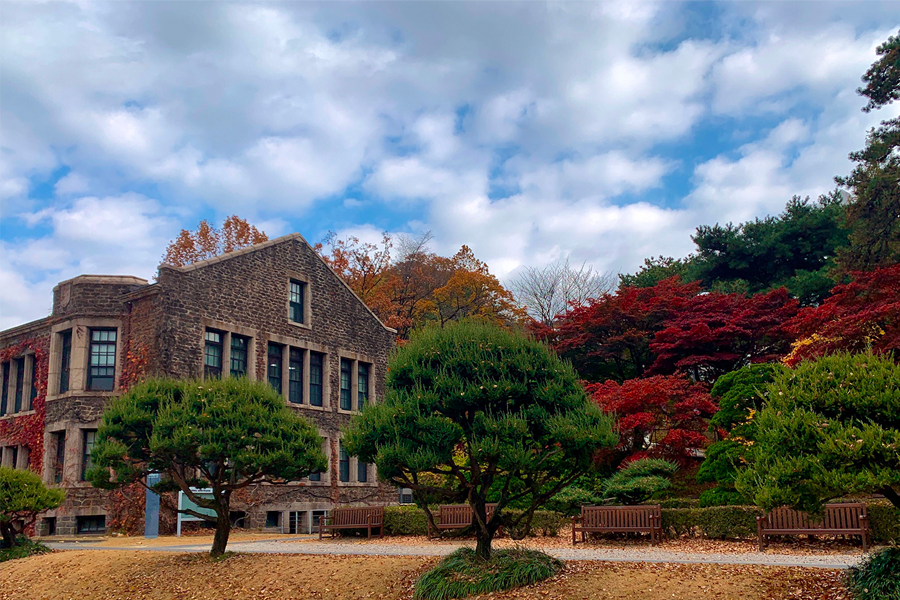 韓國 大學校園 賞楓2025年 賞楓