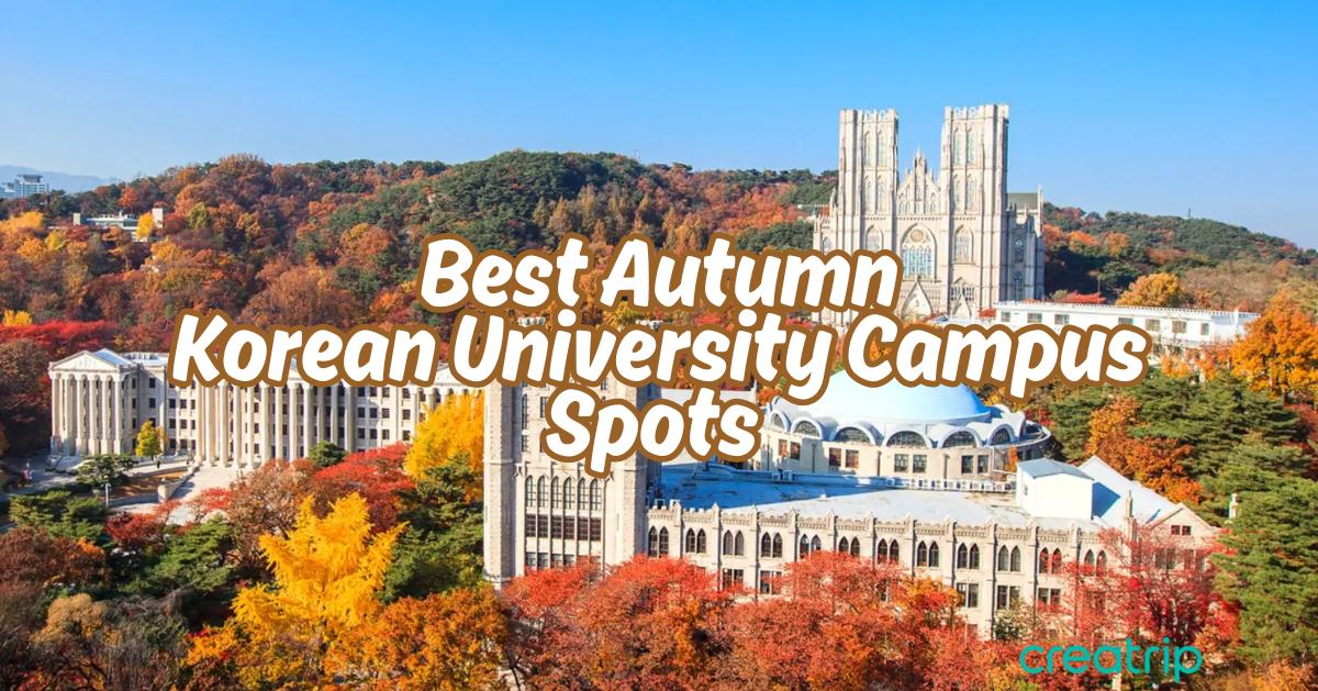 2025首爾地區大學賞紅葉景點推薦
