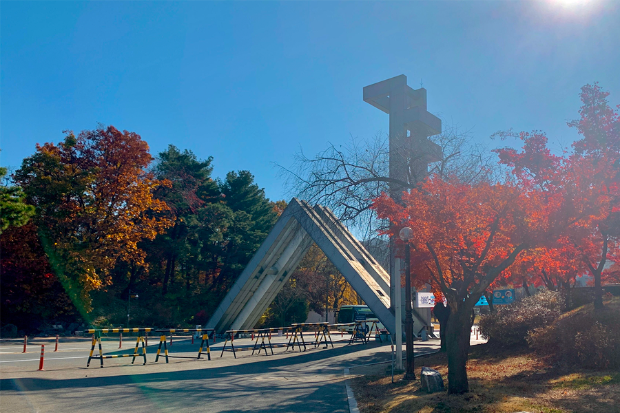 韓國 大學校園 賞楓2025年 賞楓