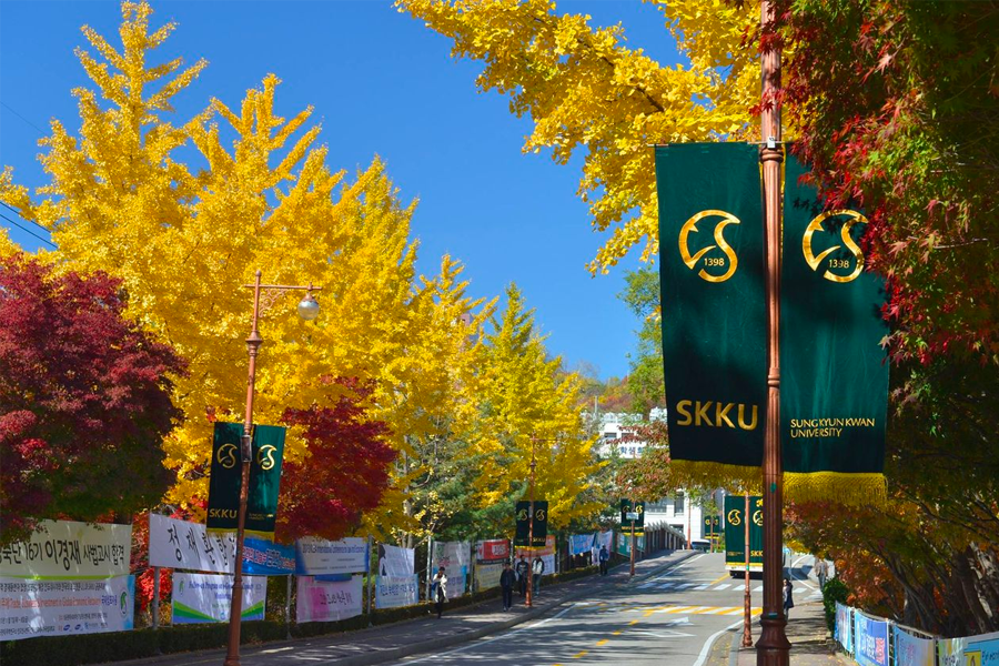 韓國 大學校園 賞楓2025年 賞楓