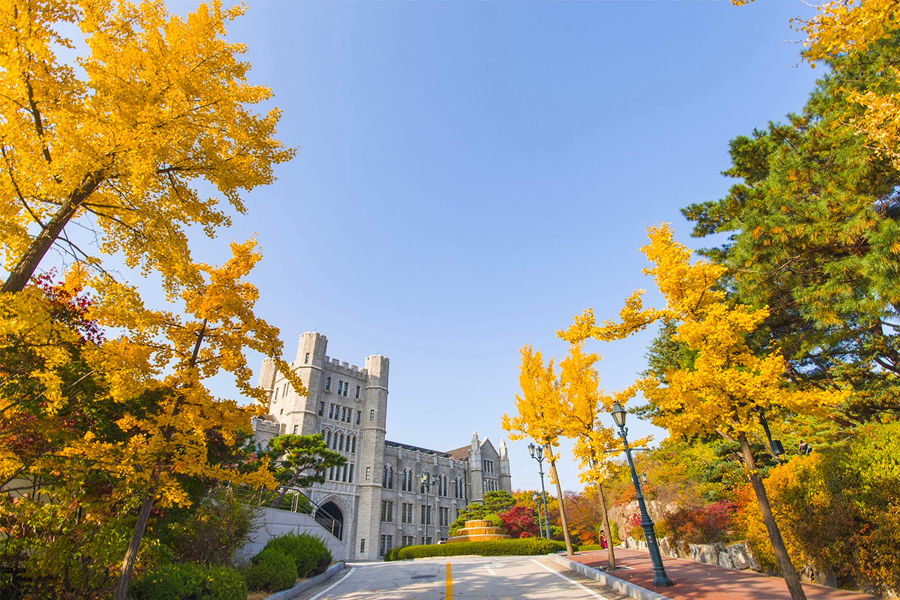 韓國 大學校園 賞楓2025年 賞楓