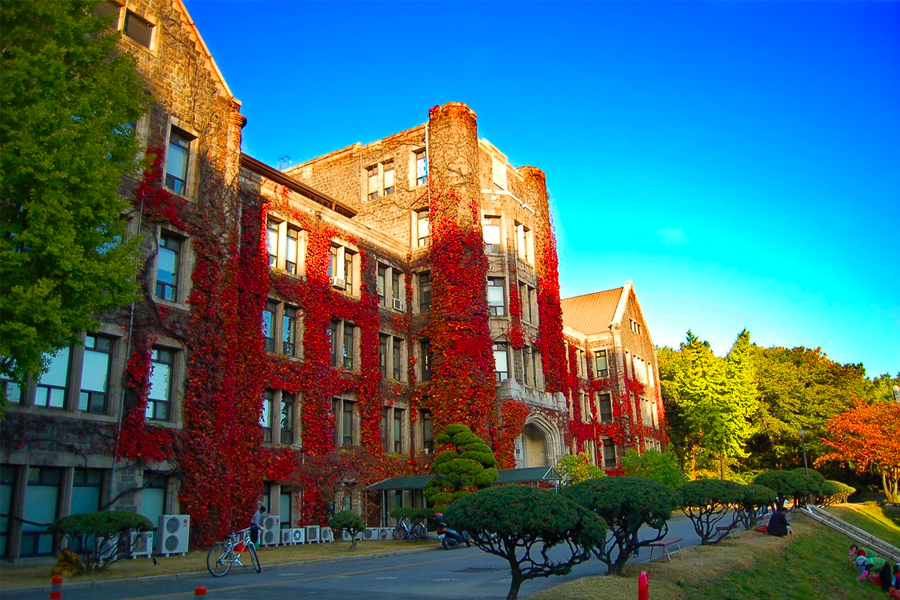 韓國 大學校園 賞楓2025年 賞楓