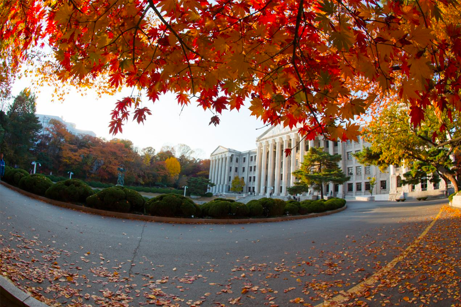 韓國 大學校園 賞楓2025年 賞楓