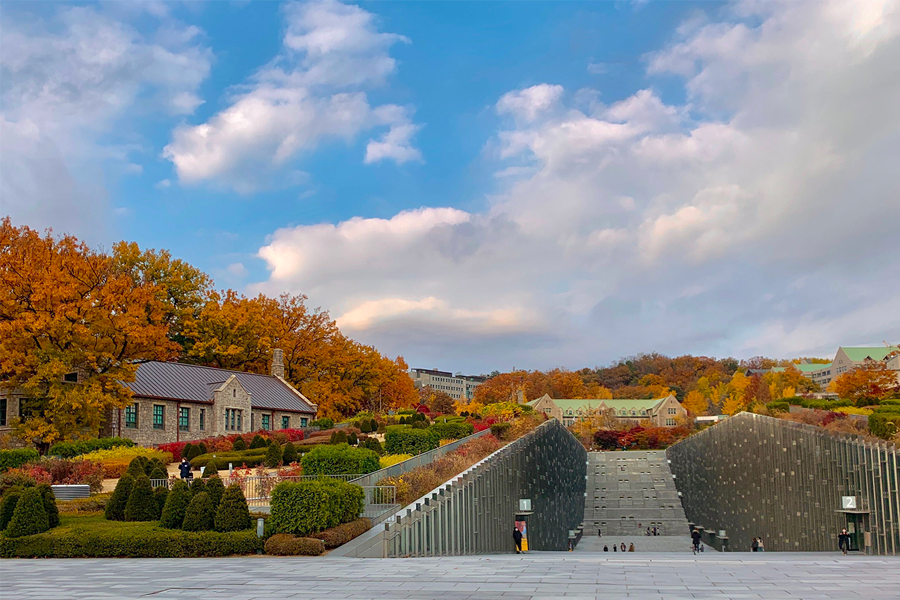 韓國 大學校園 賞楓2025年 賞楓