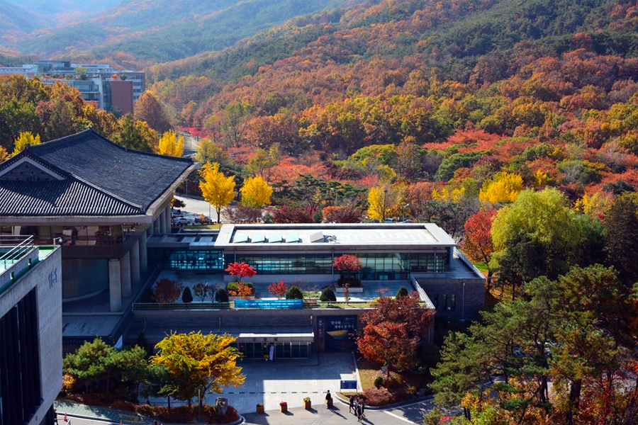 韓國 大學校園 賞楓2025年 賞楓