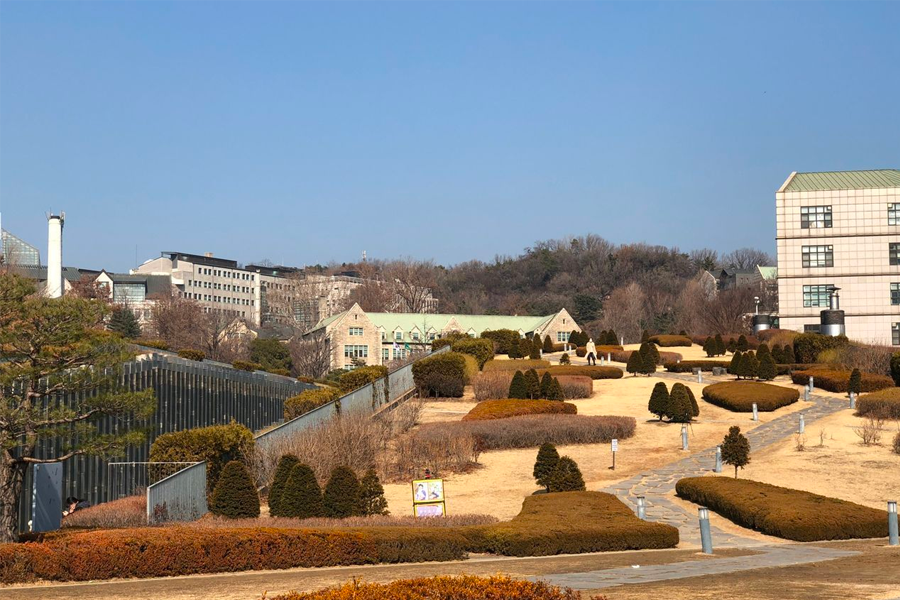 韓國 大學校園 賞楓2025年 賞楓