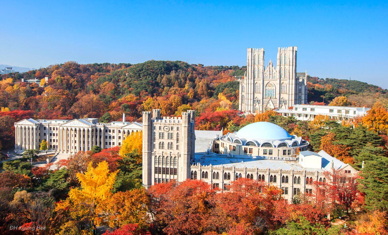 Ngắm lá đỏ tại Top 7 khuôn viên trường đại học đẹp nhất khi Hàn Quốc vào thu