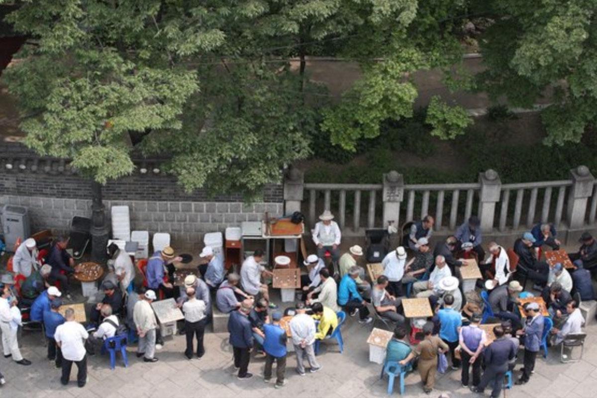 สวนเกาหลี