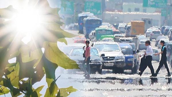 ｢38度猛暑｣来週も続く…台風｢IN-FA｣が影響