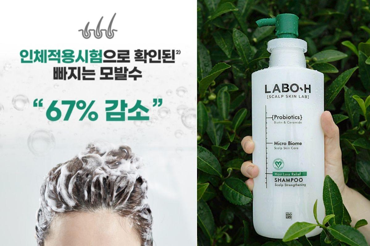 Dầu gội hàn quốc LABOH Hair Loss Relief Shampoo (라보에이치 탈모증상완화 샴푸 두피강화)