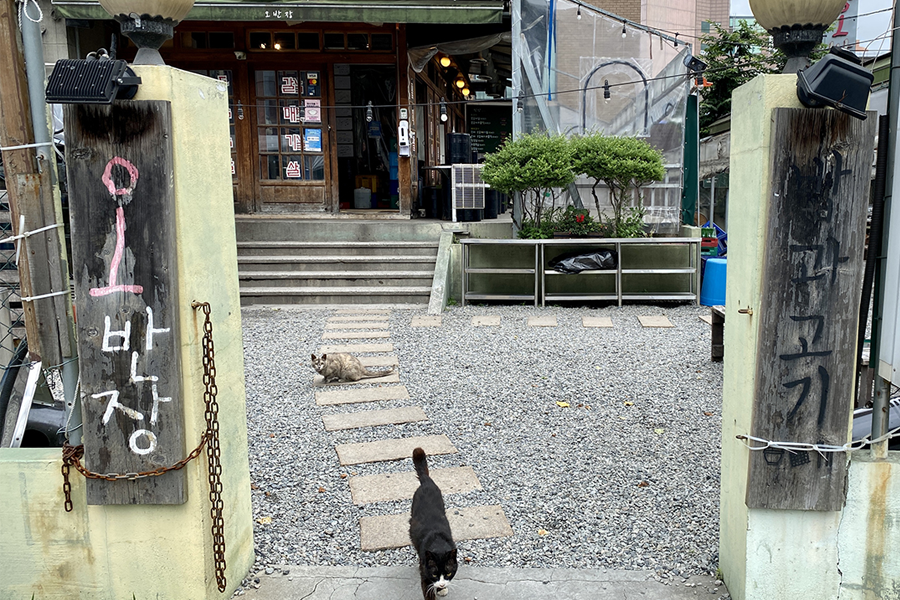 海雲台美食 伍班長烤肉 2025 價錢