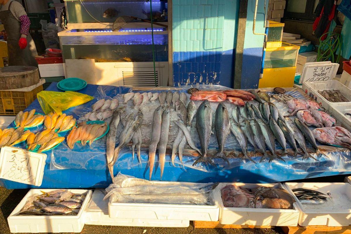 韓国、韓国旅行、韓国観光、ソウル、ソウル旅行、ソウル観光、韓国グルメ、ソウルグルメ、屋台グルメ、ローカルフード、ローカルグルメ、韓国市場、韓国伝統市場、望遠市場、マンウォン市場、麻浦、マポ、弘大、ホンデ