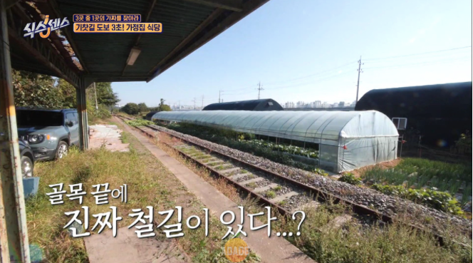 Gyooeseon Ulijib sixth sense