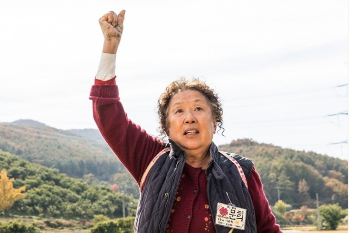 muốn độc lập tài chính, không muốn dựa dẫm vào con cái là nguyên nhân khiến người Hàn cao tuổi lại sống 1 mình, làm việc đến già