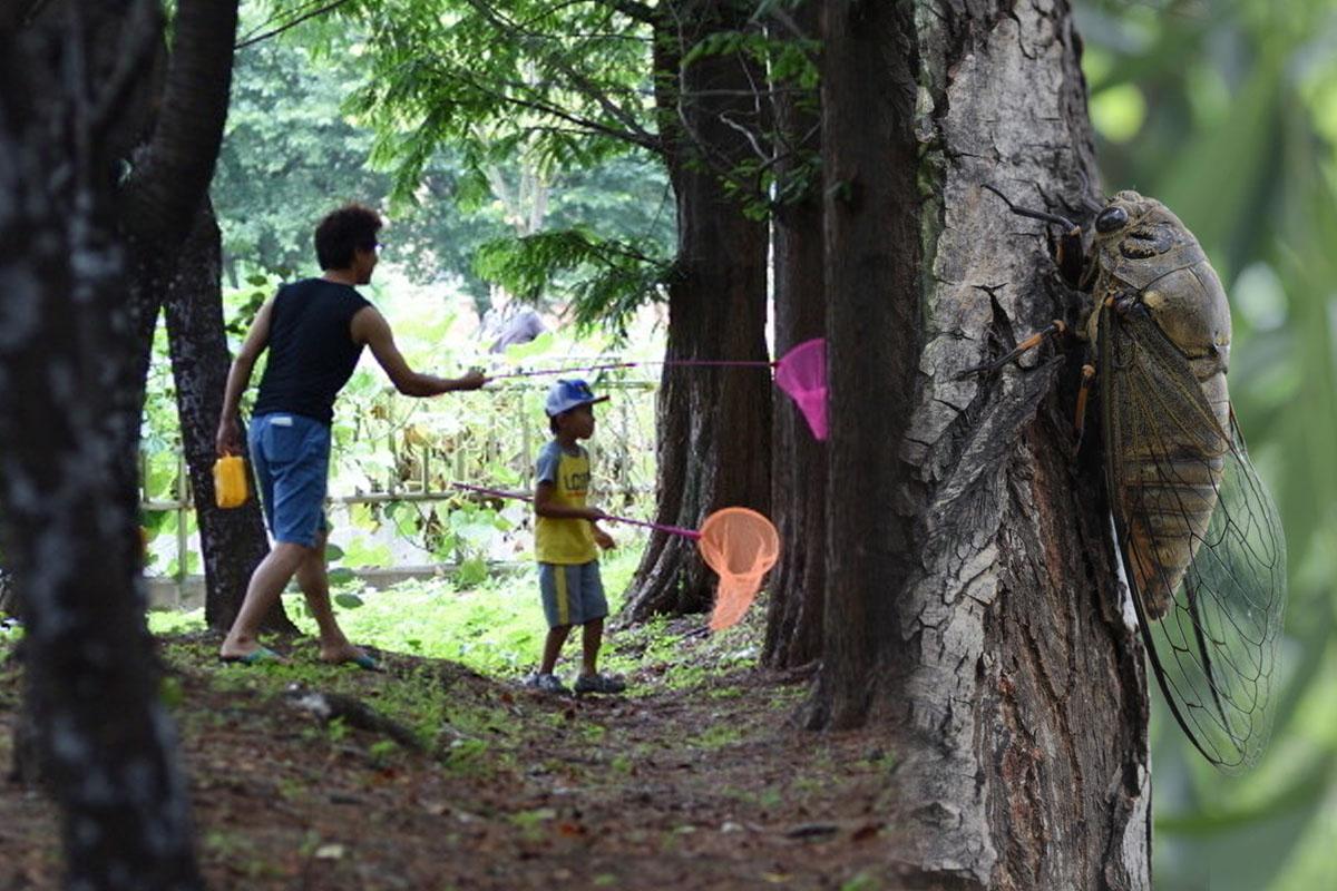 คนเกาหลี