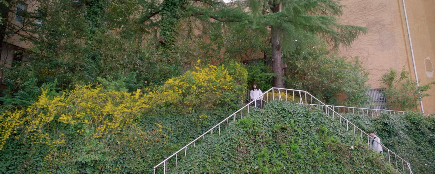 Nevertheless scene Nabi at Ulsan University