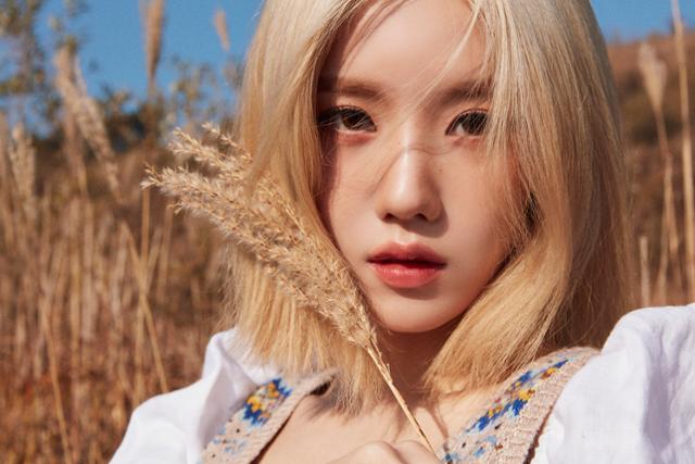 クォン・ウンビソロデビューポスター、白い扉が開かれ青空と花の野原が広がるデザイン、シルバーの文字で『KWON EUN BI』と書かれている。