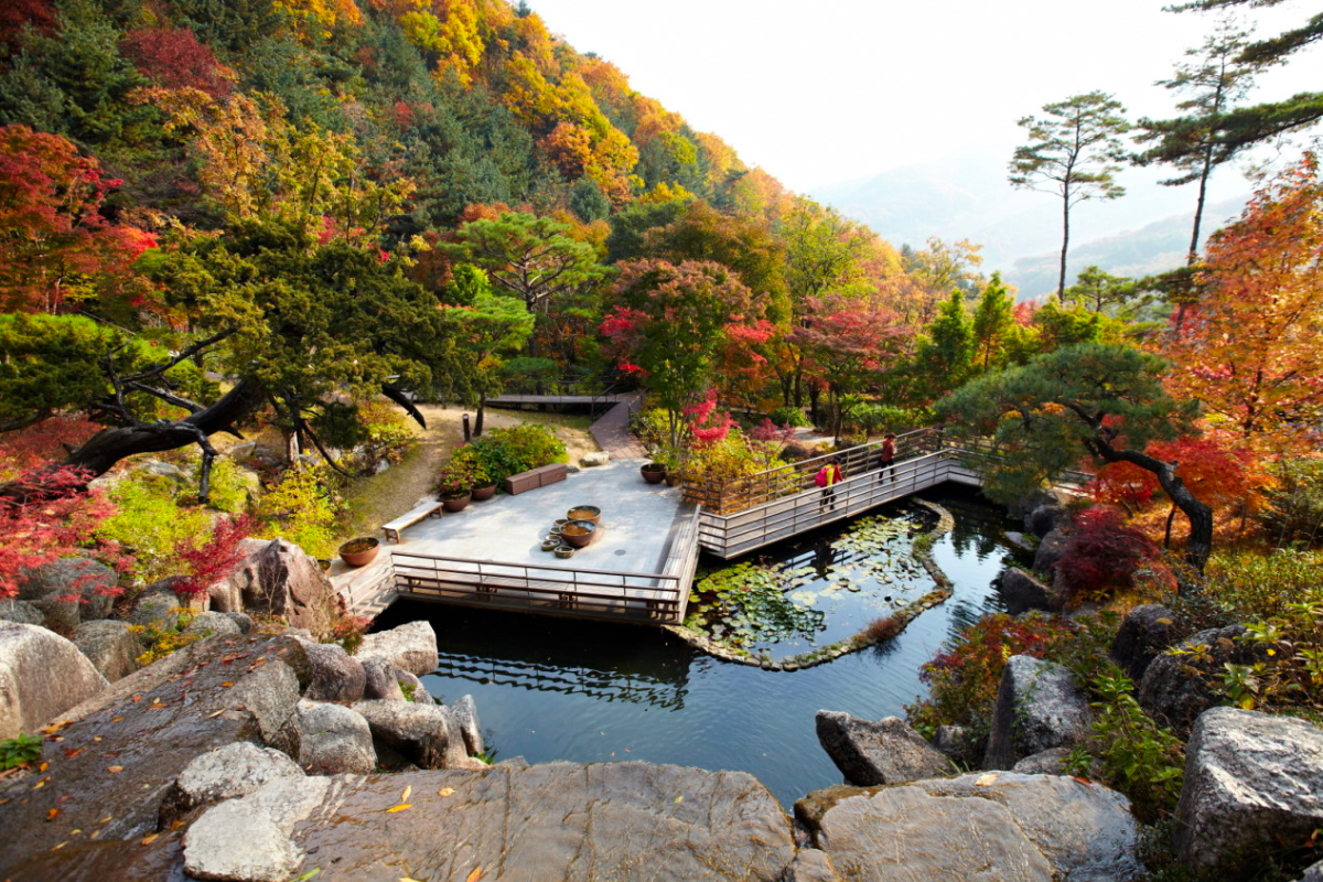 Cảnh đẹp mùa thu tại rừng Hwadam, Hàn Quốc với lá vàng đỏ