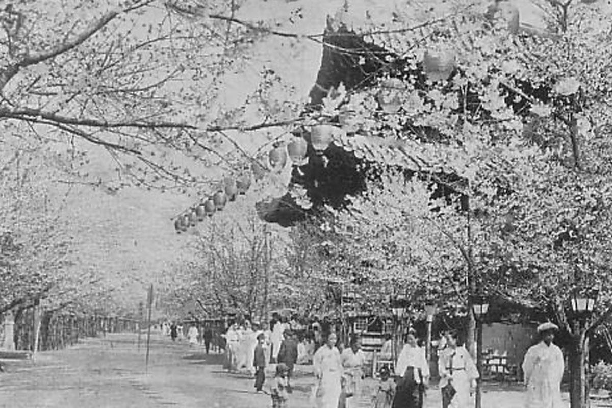 พระราชวังชางคยอง