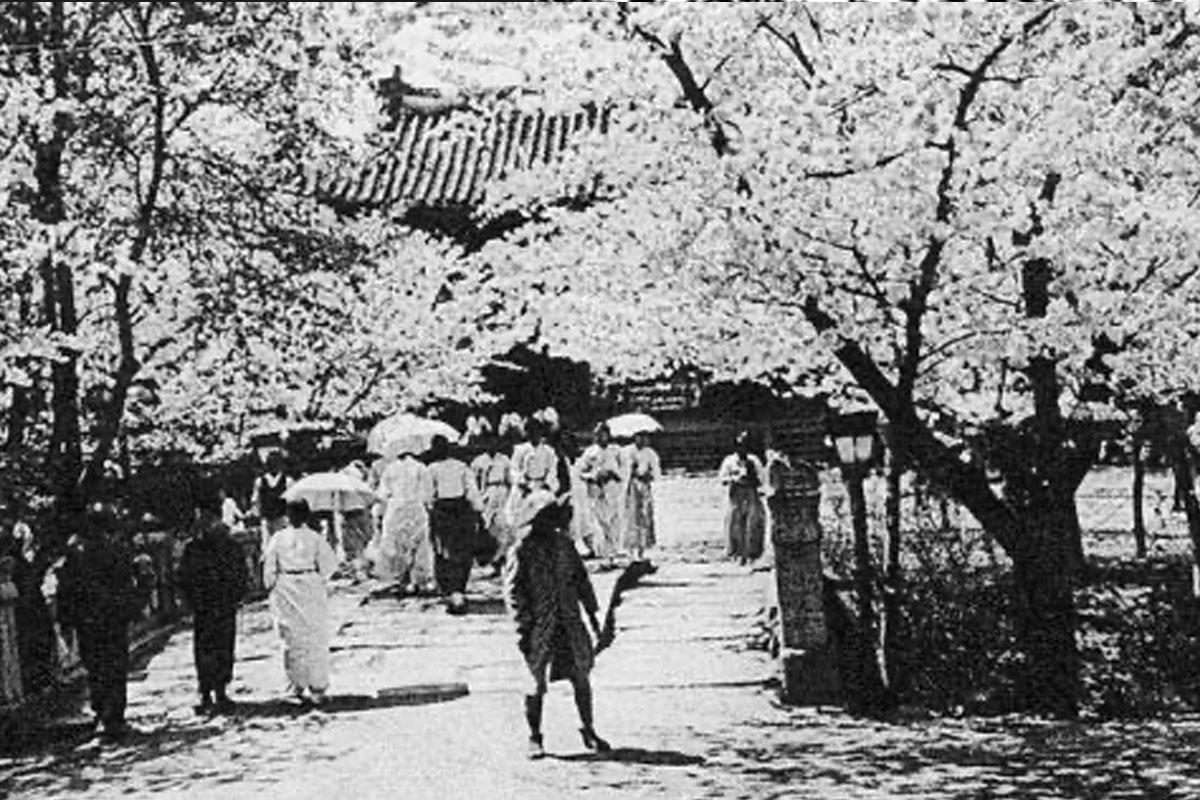 พระราชวังชางคยอง