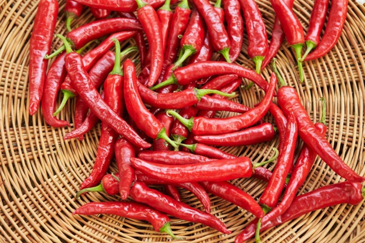 韓國人真係咁食得辣？