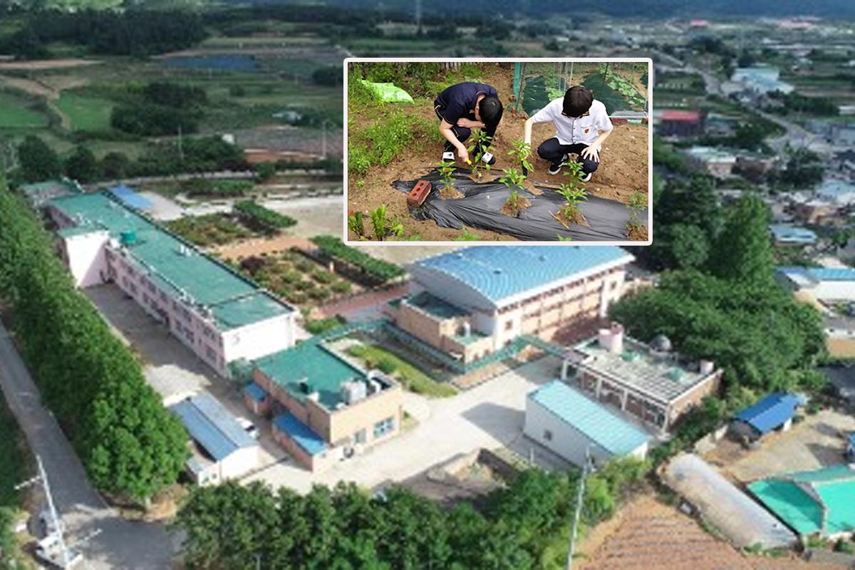 โรงเรียนเกาหลี