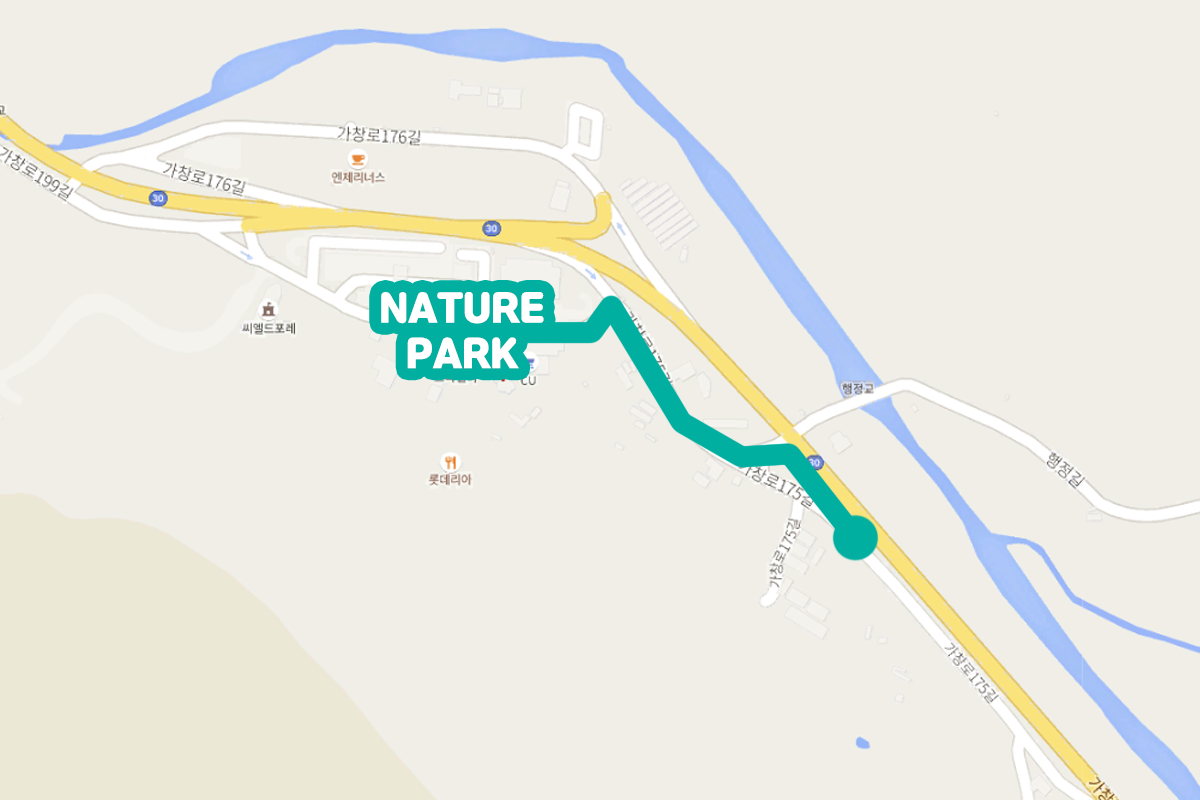 韓国、韓国旅行、韓国観光、韓国地方、大邱、テグ、大邱旅行、アクティビティ、レジャー、スカイジャンプ、写真撮影、チキン