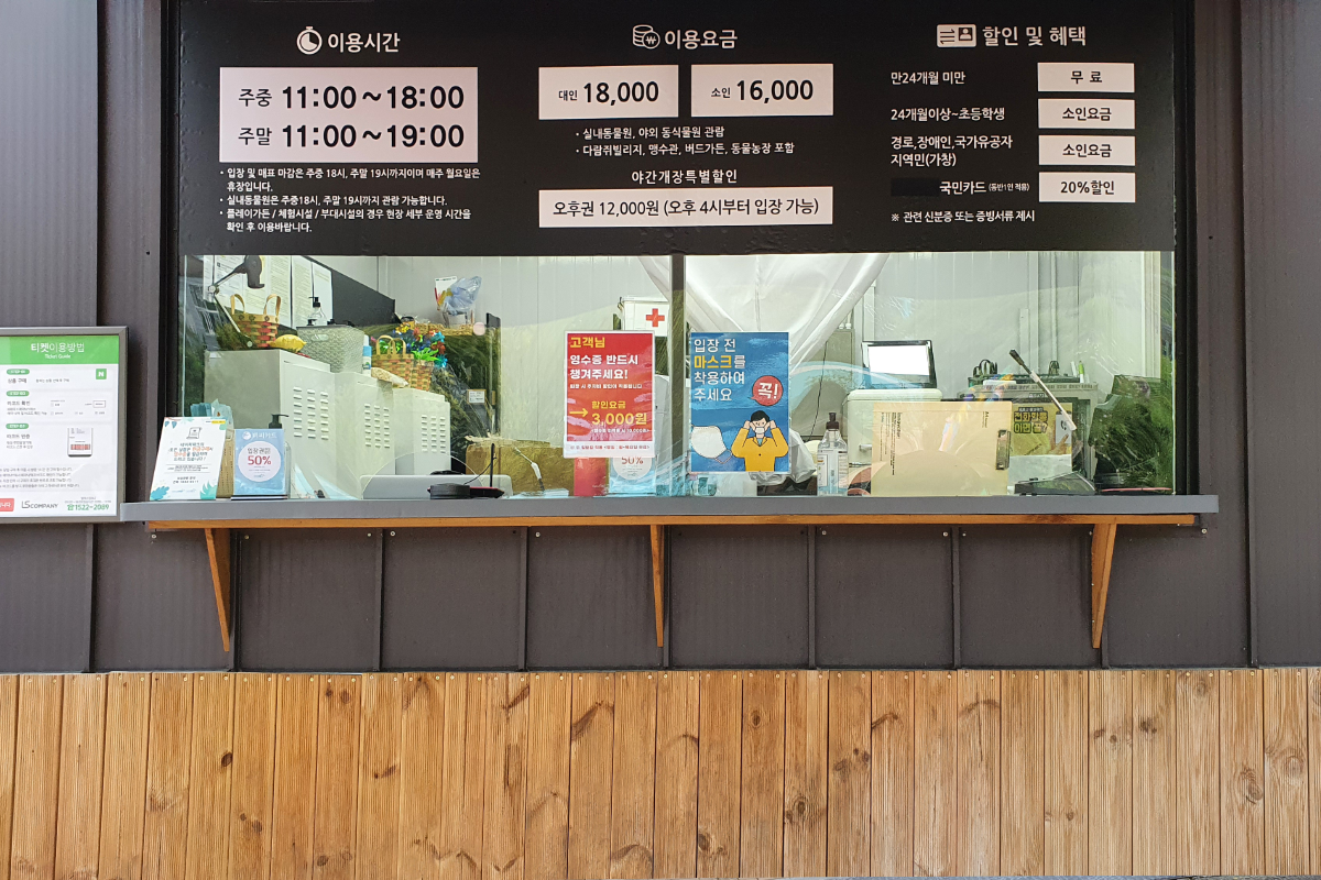 韓国、韓国旅行、韓国観光、韓国地方、大邱、テグ、大邱旅行、アクティビティ、レジャー、スカイジャンプ、写真撮影、チキン