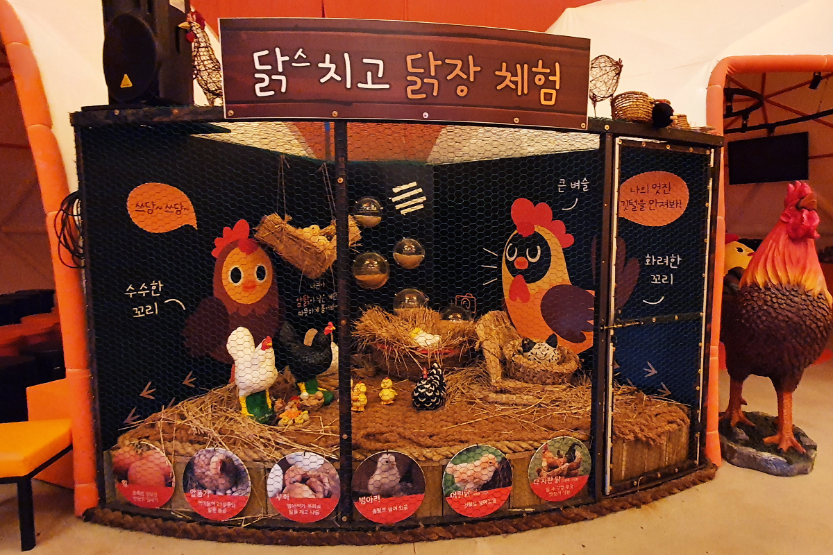 韓国、韓国旅行、韓国観光、韓国地方、大邱、テグ、大邱旅行、アクティビティ、レジャー、スカイジャンプ、写真撮影、チキン