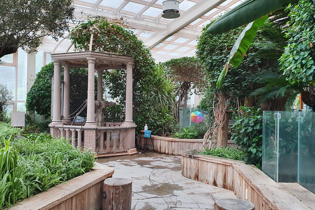 韓国、韓国旅行、韓国観光、韓国地方、大邱、テグ、大邱旅行、アクティビティ、レジャー、スカイジャンプ、写真撮影、チキン