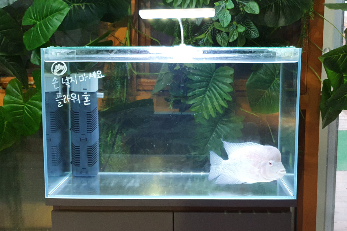 韓国、韓国旅行、韓国観光、韓国地方、大邱、テグ、大邱旅行、アクティビティ、レジャー、スカイジャンプ、写真撮影、チキン