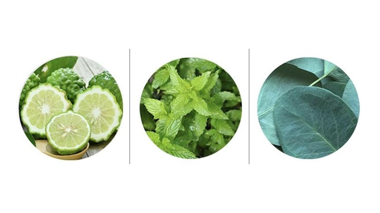 Miếng dán khử mùi BTS TinyTAN Air Patch với hình ảnh các nhân vật TinyTAN của BTS.