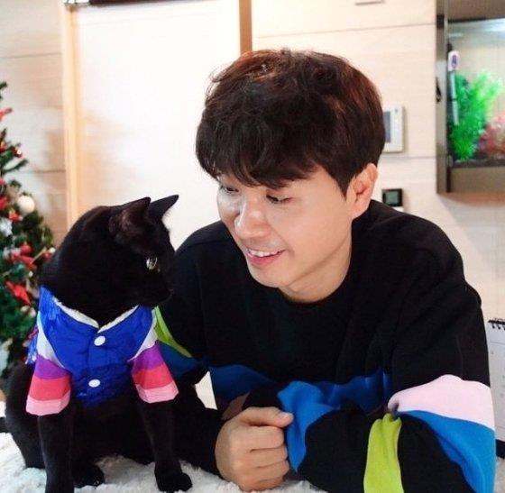 парк су хон встречи с насилием, кот дэхонг