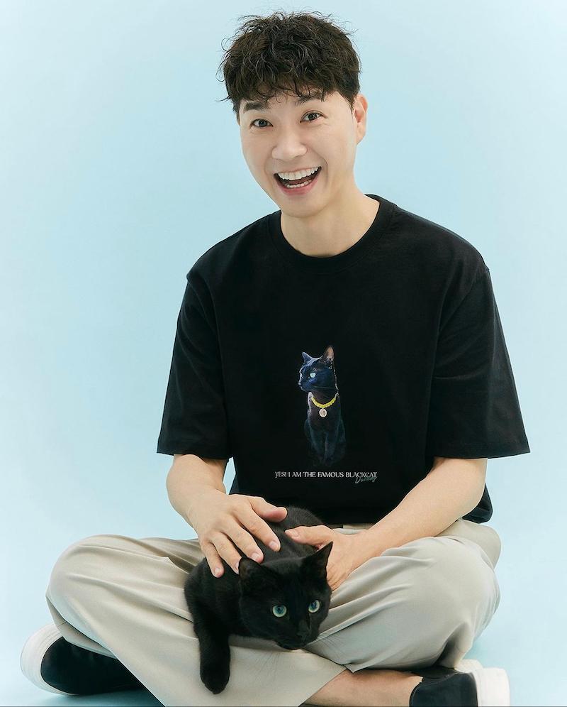 насилие в отношениях парка Су Хон, кот Да Хон