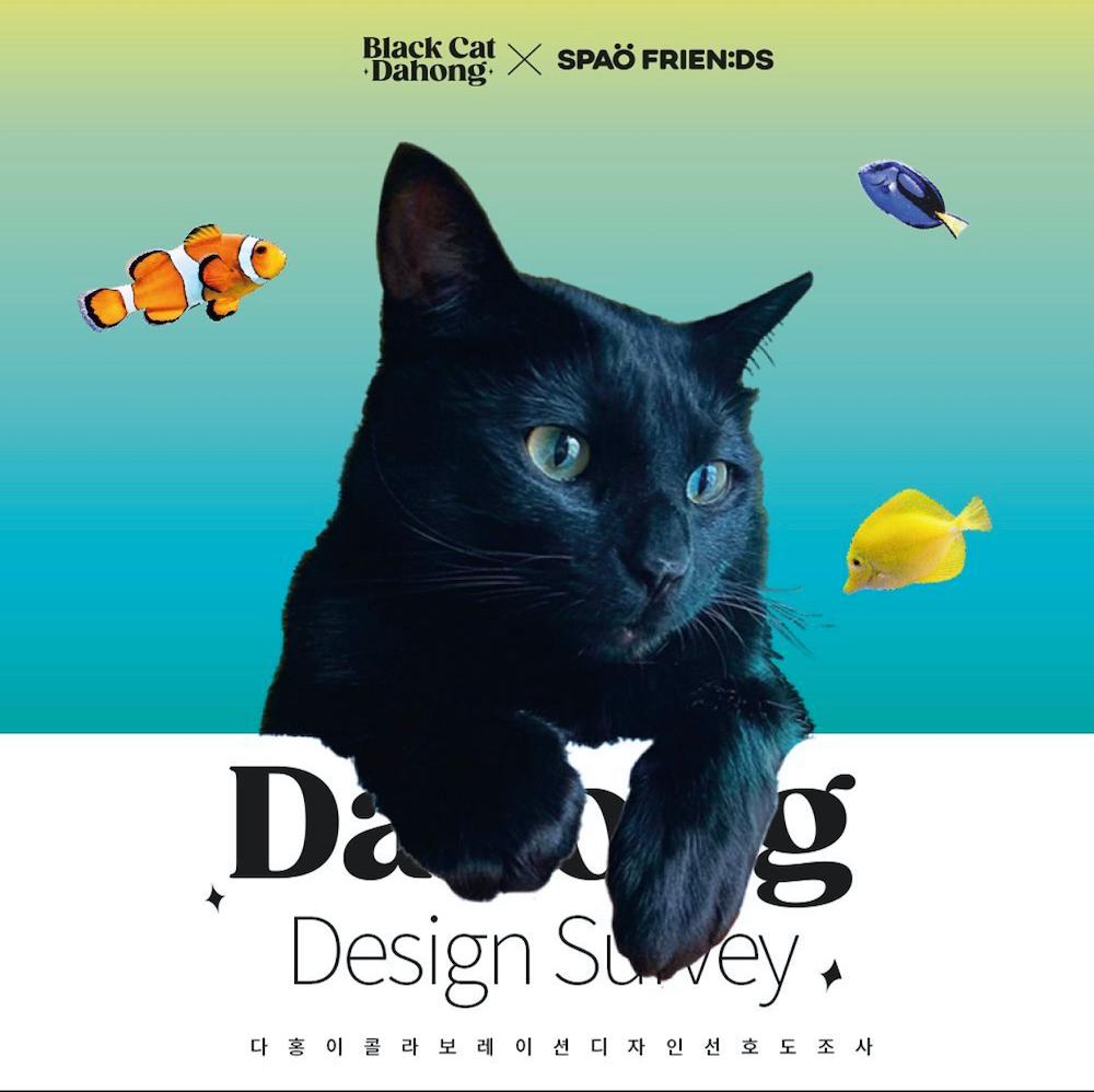 насилие на свиданиях парка су хон, кот дэ хон